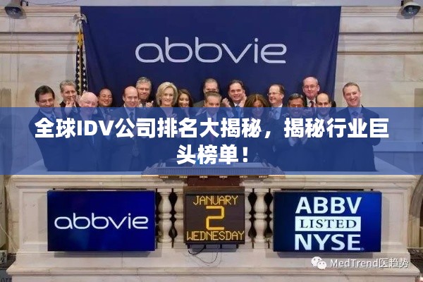 全球IDV公司排名大揭秘，揭秘行业巨头榜单！