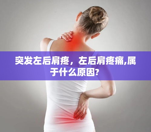 新闻资讯 第11页