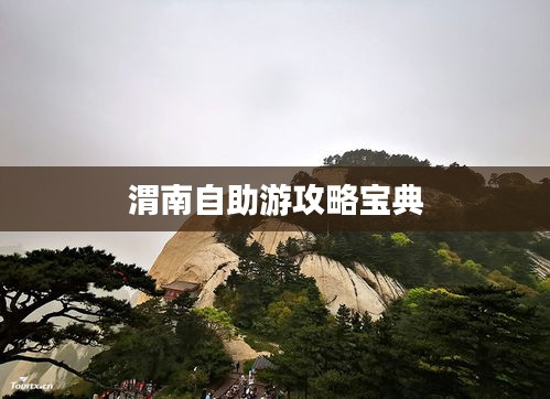 手不释卷