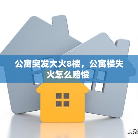 文贵天成
