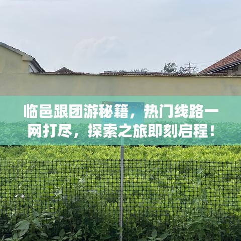 临邑跟团游秘籍，热门线路一网打尽，探索之旅即刻启程！