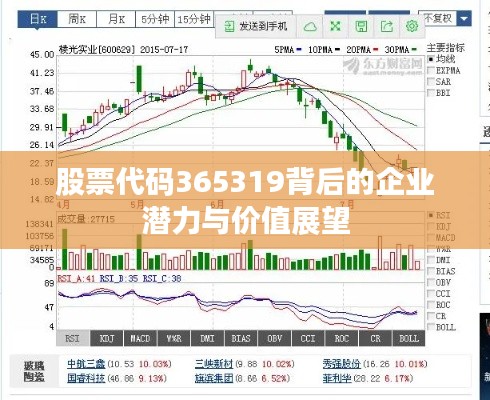 股票代码365319背后的企业潜力与价值展望