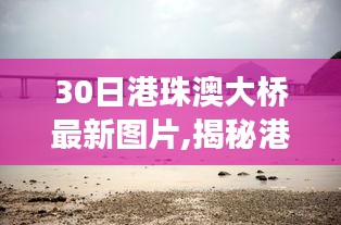 港珠澳大桥壮丽景色下的隐藏宝藏，特色小店的独特魅力之旅