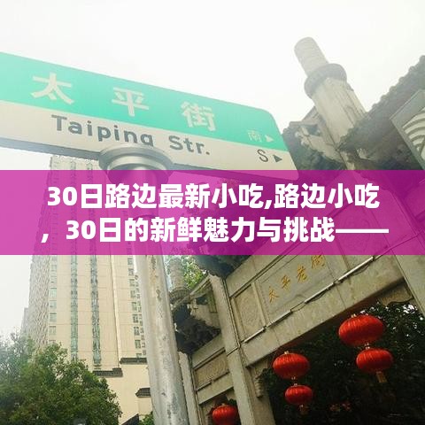 路边小吃的新鲜魅力与挑战，一种观点的阐述与探索