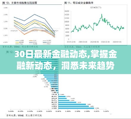 解读最新金融动态，洞悉未来趋势的30日金融概览报告