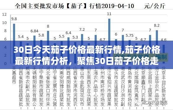 30日茄子价格最新行情走势及分析，聚焦价格变动及影响因素