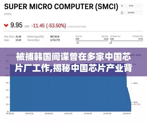 揭秘中国芯片产业背后的故事，韩国间谍的跨界之旅与职业沉浮探索之旅