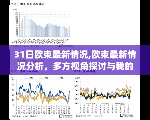 欧束最新动态分析，多方视角探讨与观点阐述的综合报告