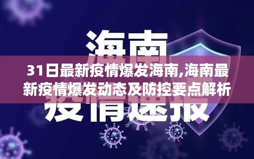 海南最新疫情爆发动态解析，防控要点与最新进展关注