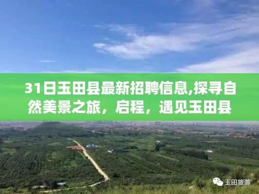 玉田县最新招聘信息发布，职场与心灵宁静之旅启程