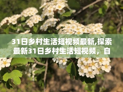 最新乡村生活短视频，自然与现代融合的魅力探索（31日精选）