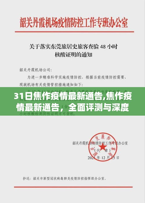 焦作疫情最新通告深度解读与全面评测，最新动态与解读