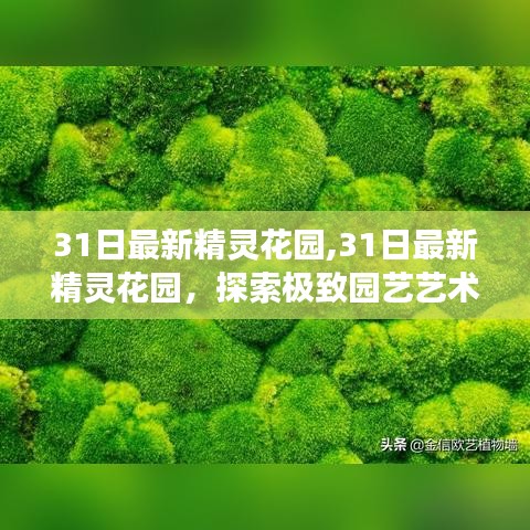 探索极致园艺艺术之旅，最新精灵花园的奥秘揭秘