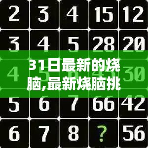 最新烧脑挑战，探索未知领域的神秘魅力