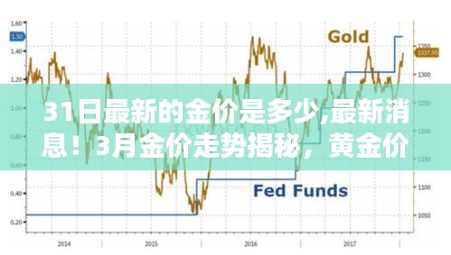 今日黄金价格揭秘，最新金价走势及三月金价走势分析