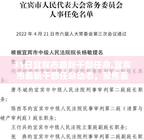 宜宾市最新干部任命动态及要点解析