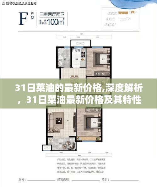 31日菜油最新价格深度解析，价格、特性、用户体验与目标用户群体分析全解析