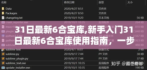 新手必备！31日最新6合宝库使用指南，轻松掌握技能，完成任务攻略