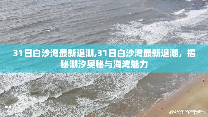 揭秘潮汐奥秘与海湾魅力，白沙湾最新退潮现象观察