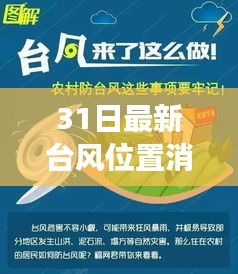 台风来袭，逆风前行，最新动态与成长的学习之旅