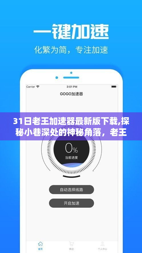 探秘小巷深处的神秘角落，老王加速器下载之旅及其犯罪问题探讨