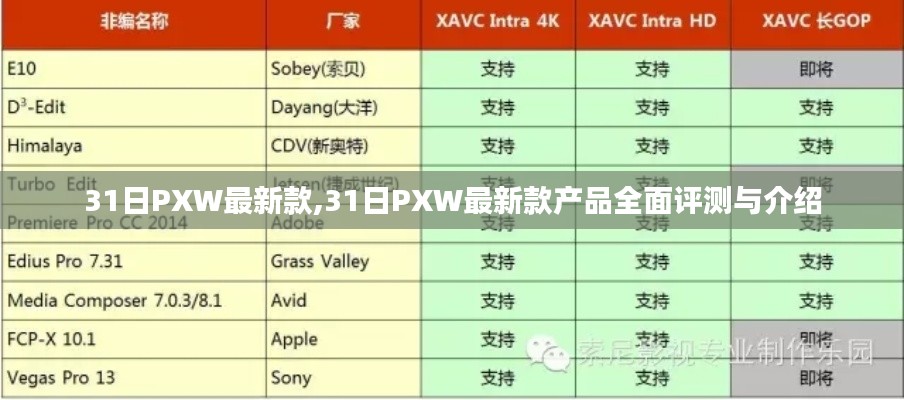 31日PXW最新款产品全面评测与介绍，深入了解最新特性