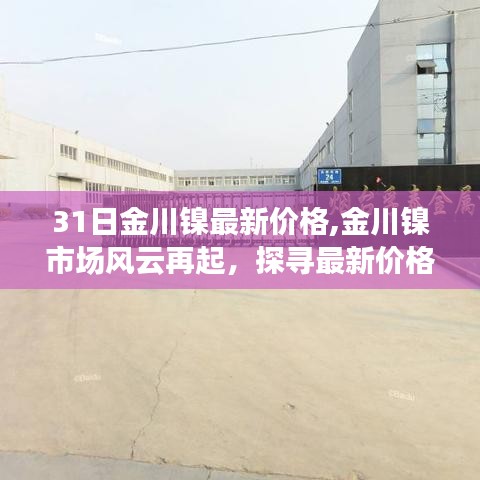 探寻最新金川镍价格背后的故事与影响，市场风云再起