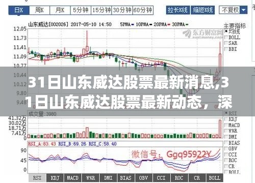 山东威达股票最新动态及市场走势深度解析与未来展望