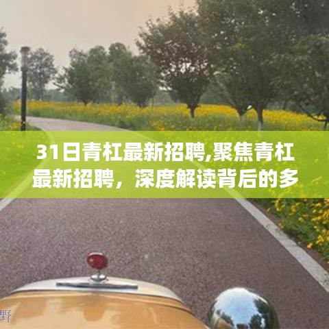 聚焦青杠最新招聘，深度解读与我的观点