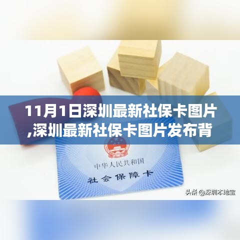 深圳最新社保卡图片发布引发的观点碰撞与个人立场探讨