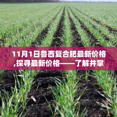 鲁西复合肥最新价格揭秘，掌握11月1日价格信息