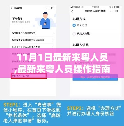 最新来粤人员操作指南，11月1日起步，融入广东生活的必备指南