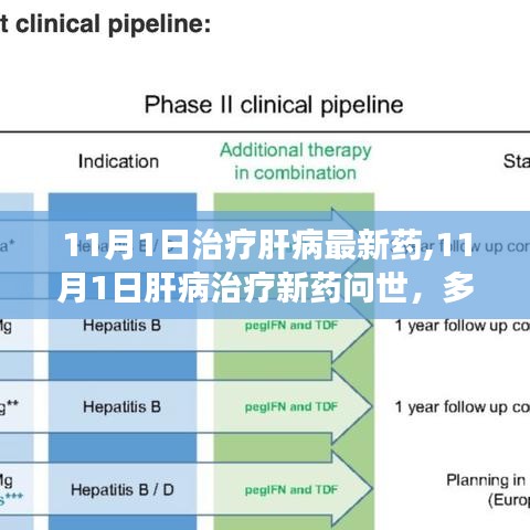 11月1日肝病治疗新药解析与个人立场阐述，最新进展与多方观点