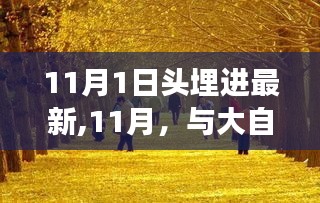 11月与大自然共舞，寻找内心平静的美丽之旅