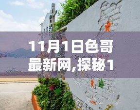 11月1日色哥最新网,探秘11月1日色哥最新网，小巷中的独特风味小店