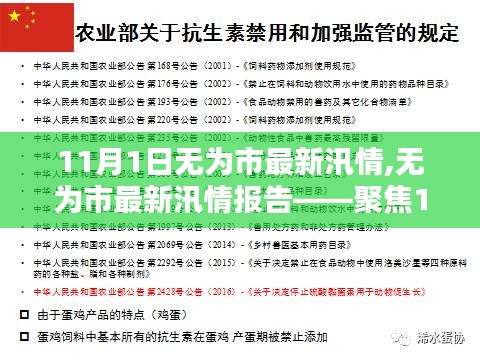 无为市最新汛情报告，聚焦分析11月1日汛况