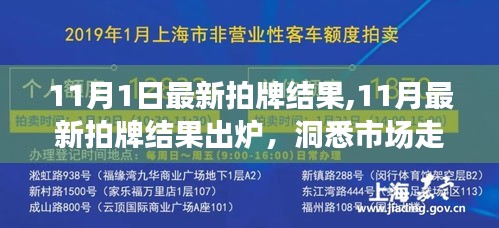 11月最新拍牌结果揭晓，洞悉市场走势，把握投资先机