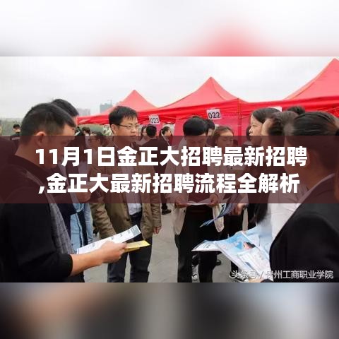 11月1日金正大最新招聘全解析与求职攻略指南