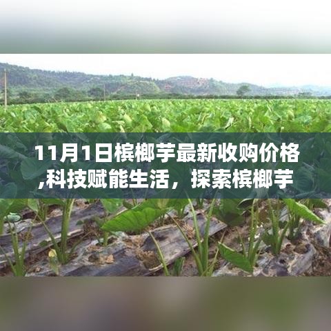 科技引领槟榔芋收购新时代，最新价格与智能系统的探索