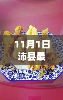 沛县最新动态，11月1日资讯解读与行动指南