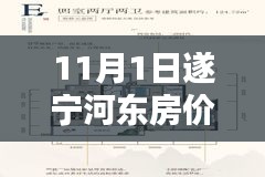 遂宁河东最新房价指南，11月1日房价详解与购房技能全掌握