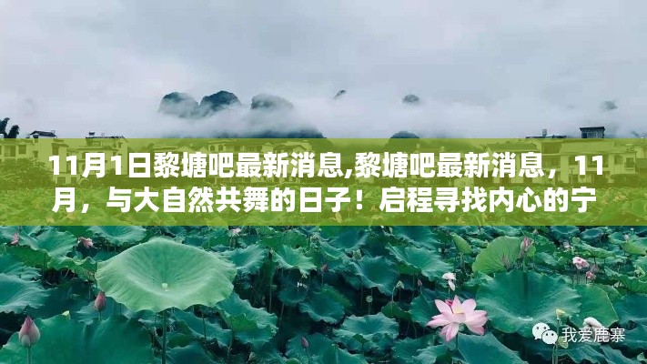 11月黎塘吧最新动态，共舞自然，启程寻找内心宁静与美景之旅