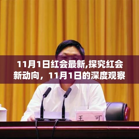 深度观察与观点阐述，红会最新动向解析（11月1日）