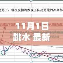 跳水新手进阶指南，掌握跳水技能的全面步骤（以11月为例）