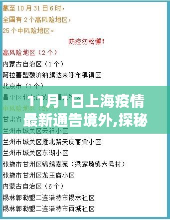 上海疫情最新通告与隐秘小巷探秘，疫情下的境外风情独特小店体验