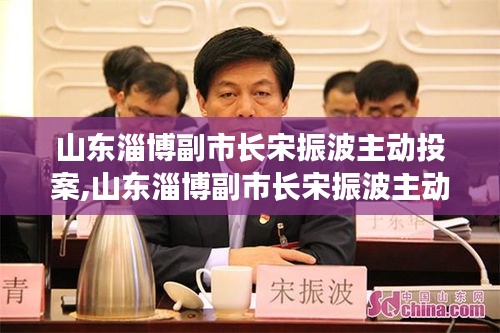 山东淄博副市长宋振波主动投案，自我净化与社会监督的双重考量下的一次行动