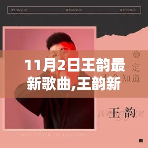 王韵新歌来袭，11月2日最新歌曲体验全攻略