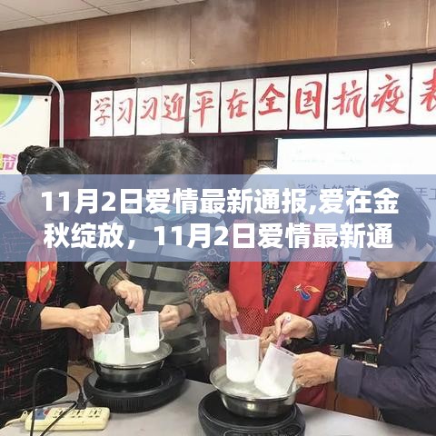 金秋之恋，揭秘11月2日爱情最新动态与深度解析