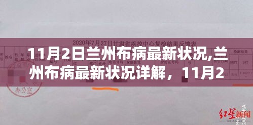 兰州布病最新状况详解，11月2日的现状与应对策略