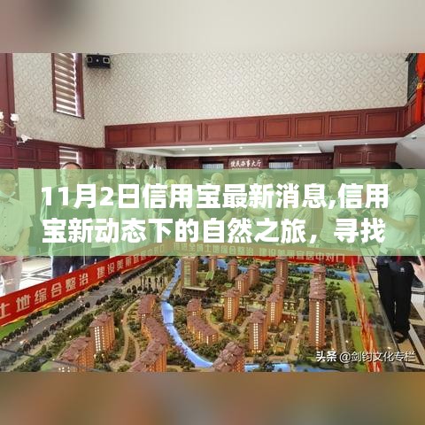 信用宝最新动态，自然之旅寻找心灵港湾